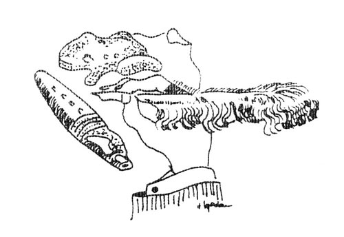 Javier Tafur González